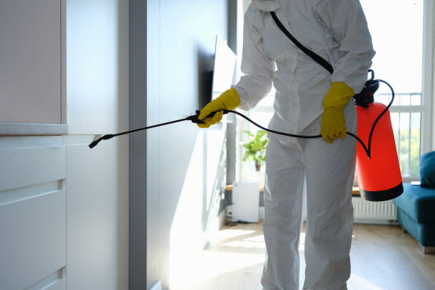 Trusted Highpoint, OH Mold Removal Experts